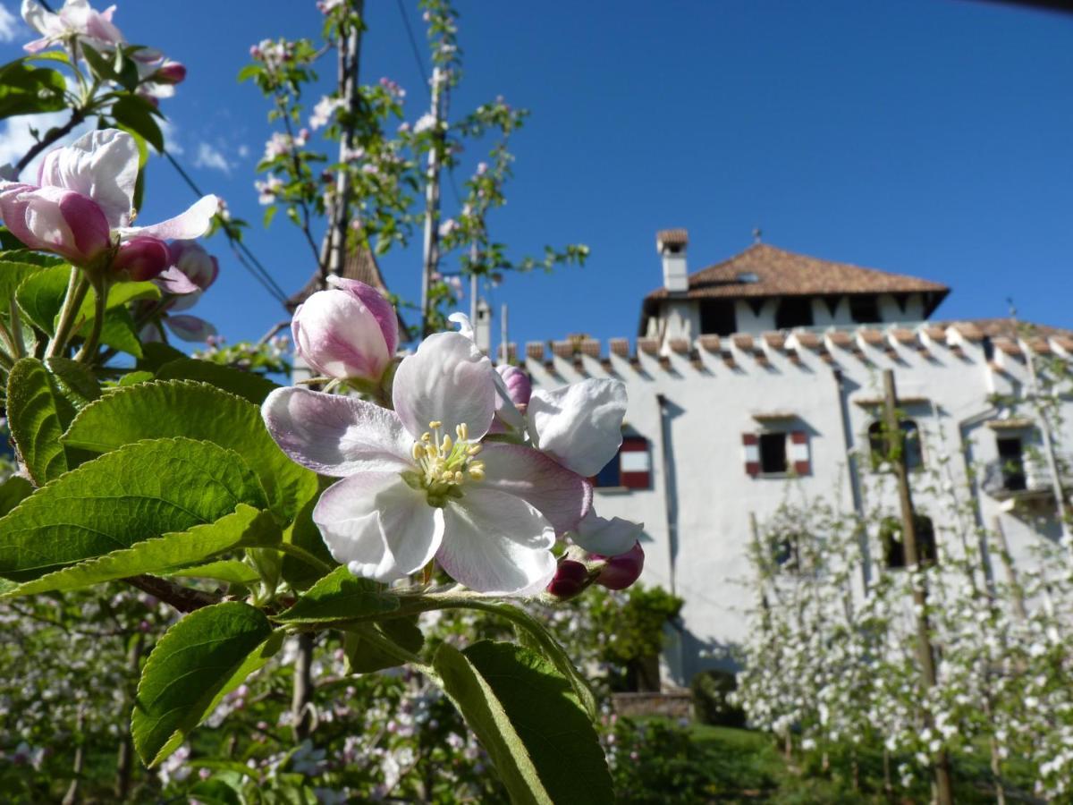 Apartments Schloss Paschbach 아피아노 술라 스트라다 델 비노 외부 사진