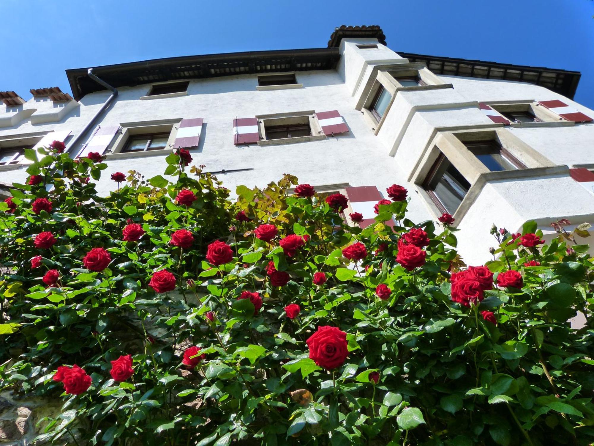 Apartments Schloss Paschbach 아피아노 술라 스트라다 델 비노 외부 사진