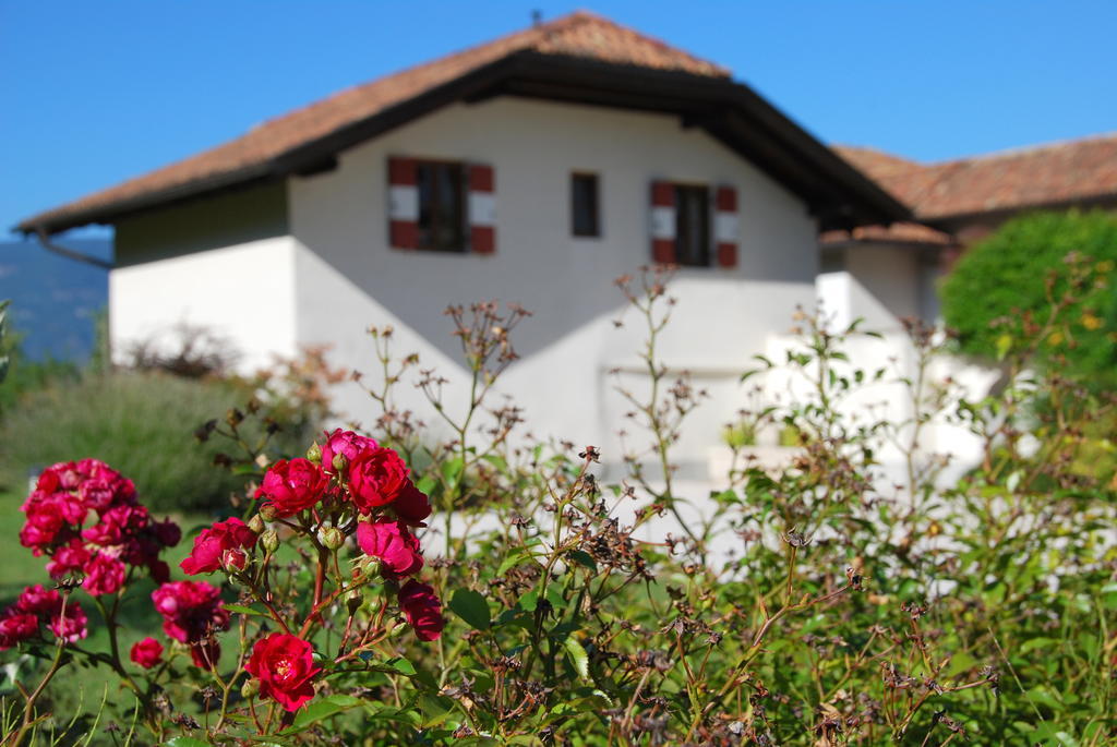 Apartments Schloss Paschbach 아피아노 술라 스트라다 델 비노 객실 사진