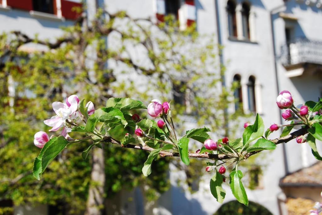 Apartments Schloss Paschbach 아피아노 술라 스트라다 델 비노 외부 사진