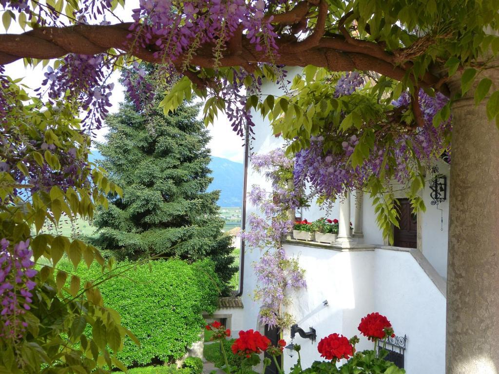 Apartments Schloss Paschbach 아피아노 술라 스트라다 델 비노 외부 사진